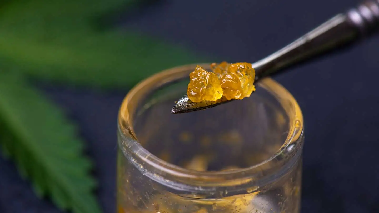 Cannabis Extracts Europe for Oils, Wax & Concentrates