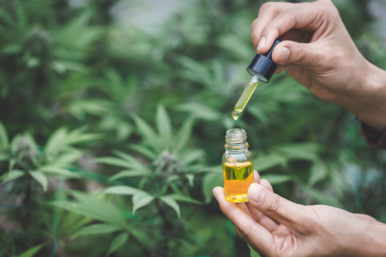 Cannabis Tincture UK – Shop Online for Marijuana Buds, Oils & Gummies